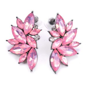 Pink Colorful Luxury Design Earrings