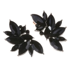 Black Colorful Luxury Design Earrings